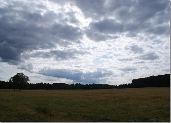 DSC07171
