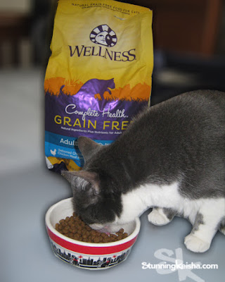 CK Celebrates The Year of the Cat With Wellness® Complete Health™ #HealthyMeetsHappy #ad