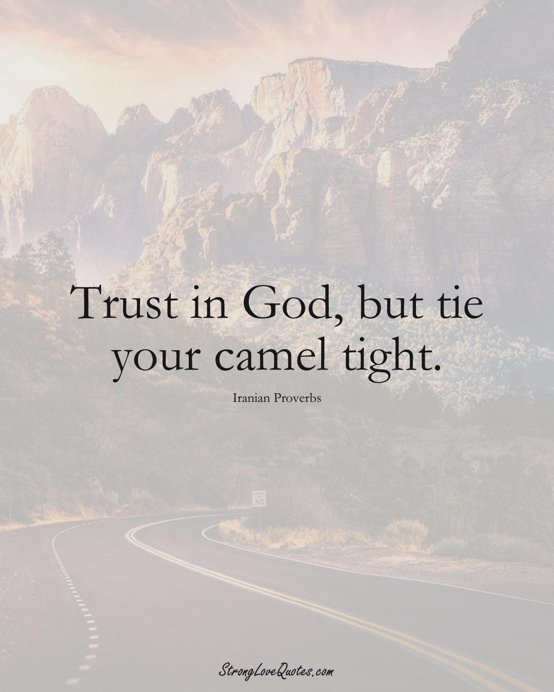 Trust in God, but tie your camel tight. (Iranian Sayings);  #MiddleEasternSayings