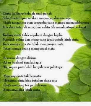 9 Kata  Kata  Untuk  Orang  Tua 