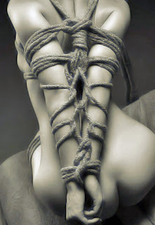 shibari 