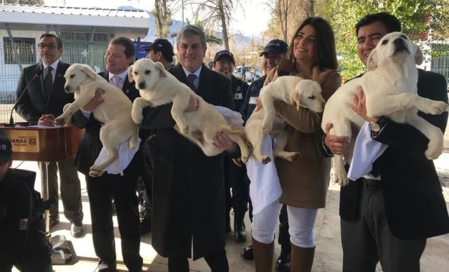 Escuela de Adiestramiento Canino