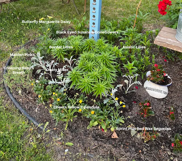 Photo of a garden planting diagram.