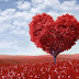 Photoshop-Of-Red-Heart-With-Red-Leaves