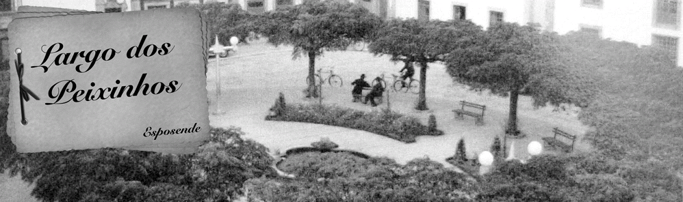 ... Largo dos Peixinhos ...