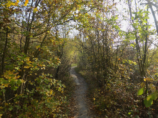 Parco-san-pellegrino-bologna