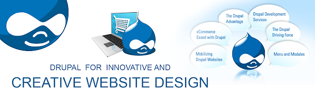 http://www.webhonchoz.com/drupal-development-services.html