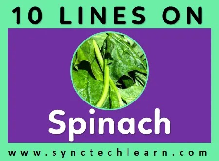 10 lines on spinach in english