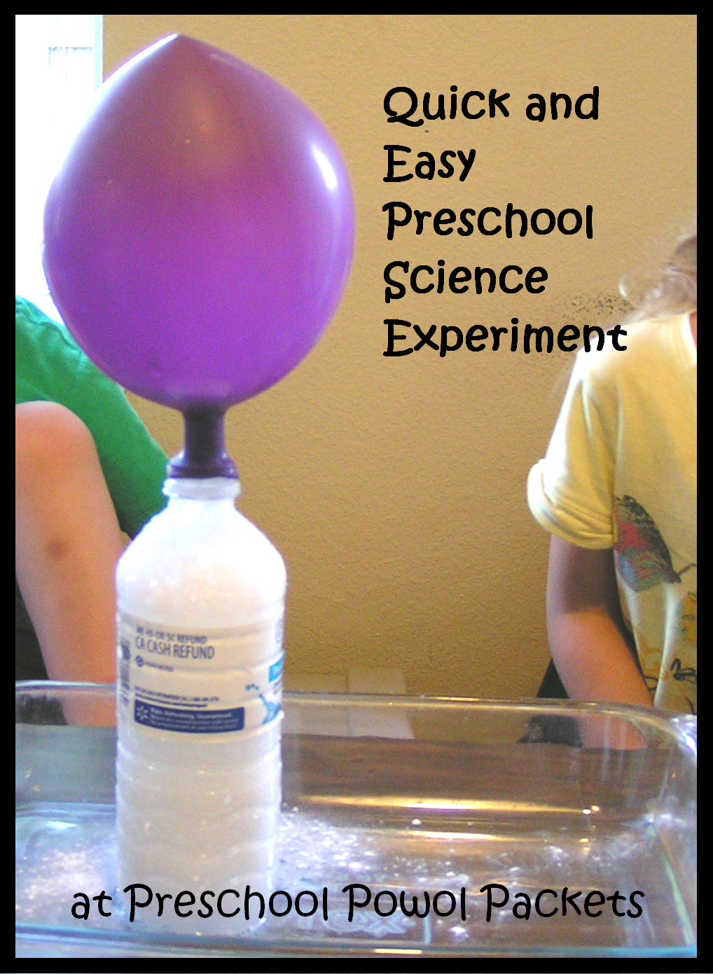 PDF DIY Quick And Easy Science Projects Download red cardinal bird 