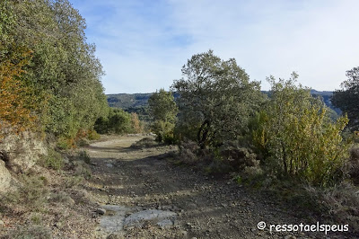 Camí a Sant Miquel de Sorerols