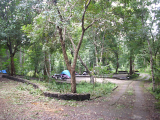 Wanagama Educational Forest, Image