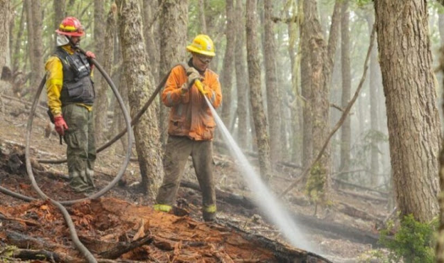 Se prolonga la prohibición para hacer fuego en Tierra del Fuego