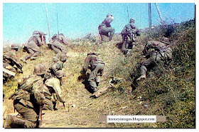 waffen ss color image