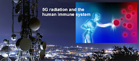 https://duluthreader.com/articles/2020/03/12/19851_chinas_massive_amount_of_immunotoxic_5g_networking