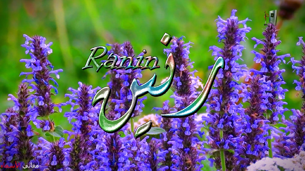 معنى اسم, رنين, وصفات, حاملة, هذا الاسم, Ranin,