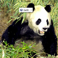 Google Panda algoritma terbaru search engine google tahun 2011