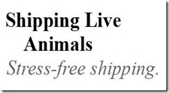 shipping live animal