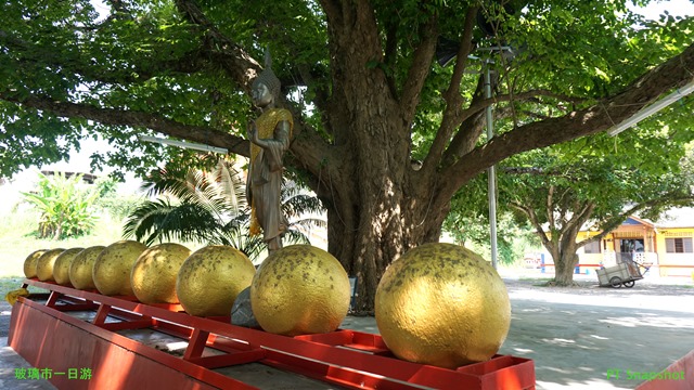 玻璃市Guar Musang
