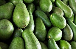 he avocado seed is an excellent source of dietary fiber, which can help regulate blood sugar levels.