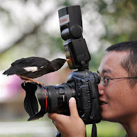 Camera Bird