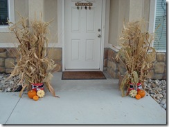 Harvest 004