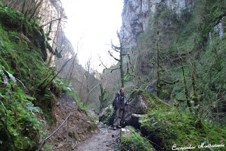 Tramo de camino llegando a la cascada.