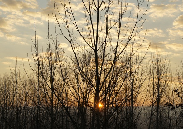 foto amanhecer 4