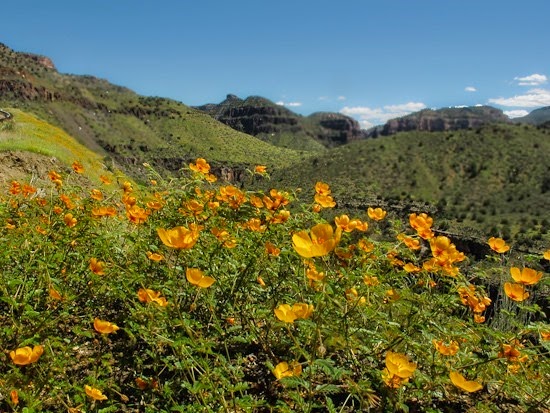 Salt River Canyon 011