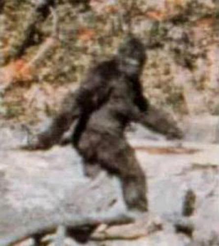 Find Bigfoot Win A House