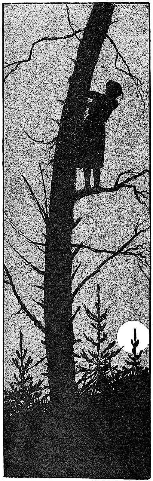 an Artus Scheiner 1921 silhouette illustration of a girl up a tree at night