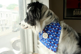 Patriotic Bandana with Space for Tags by KirasPetShop on Etsy