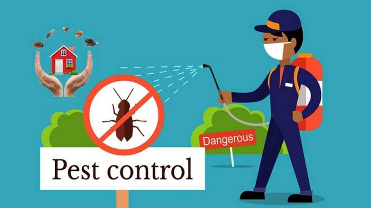 24 Hour Pest Control Birmingham