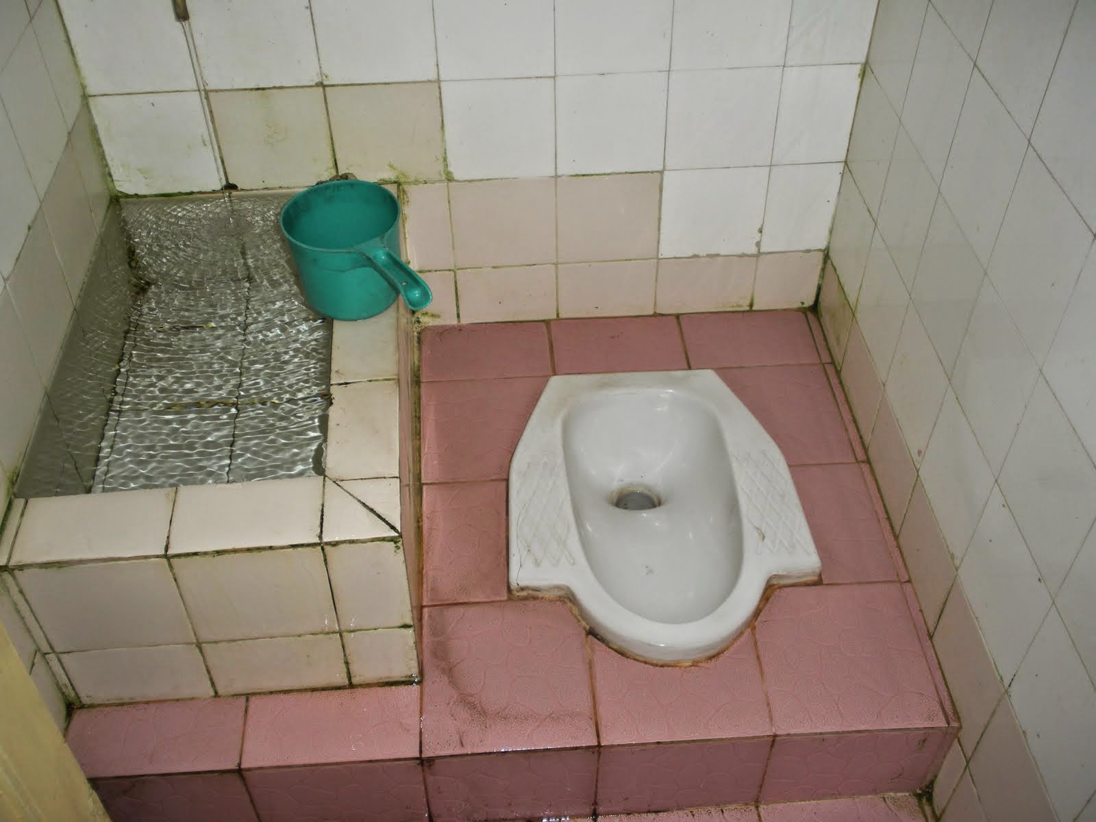 Ternyata Toilet  Jongkok  Lebih Baik Dibanding Toilet  Duduk 