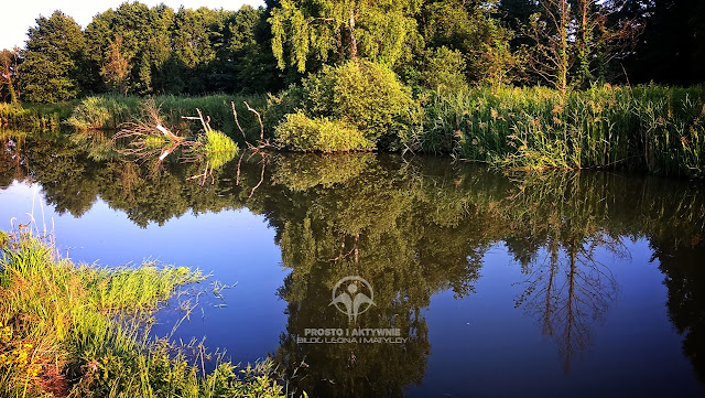 Lato nad rzeczką...