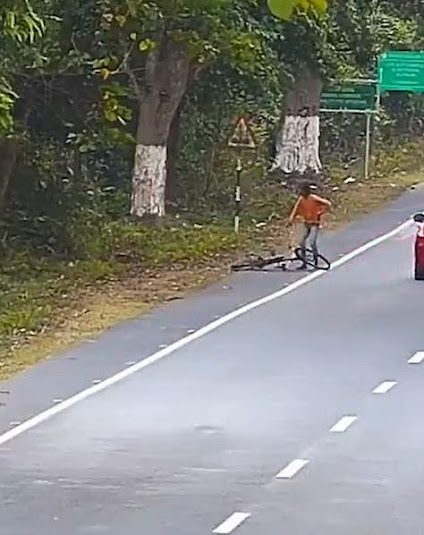 Cyclist attacked by leopard but the leopard rapidly retreats when it realises that the attack was not working