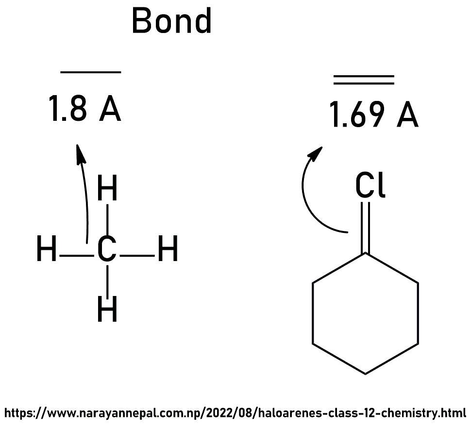 Single & Double Bond Haloarenes Class 12 Chemistry