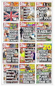 daily star seaside