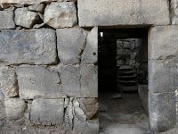 tour castelli nel deserto giordania