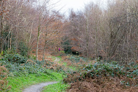 The path down into the wood.  Toy's Hill, 7 December 2013.