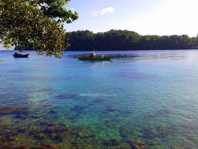 Indahnya Taman Bawah Laut di Pulau Rubiah