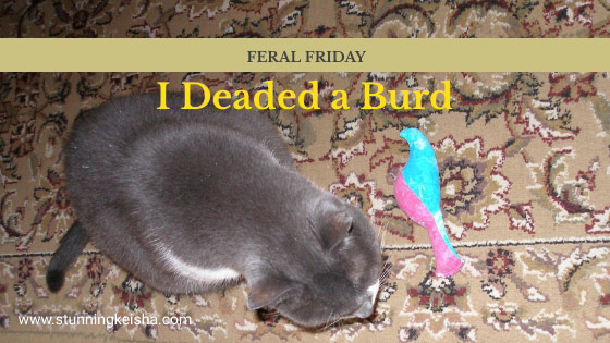 Feral Friday: I Deaded a Burd!