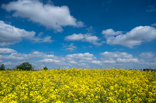 Landschaftsfotografie Mittelfranken Mitteleschenbach Olaf Kerber