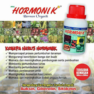  Kandungan Dan Manfaat HORMONIK ,Hormon Organik Nasa 085231271500