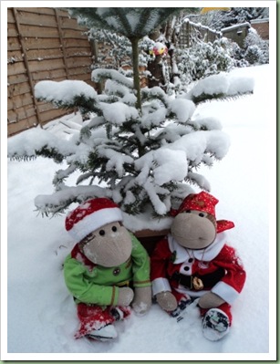 Our Christmas Tree