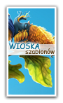 wioskaszablonow.blogspot.com