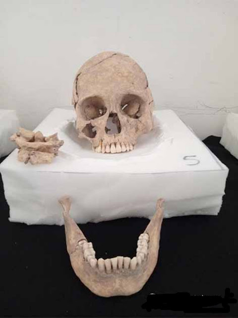 Один из черепов, обнаруженных на археологическом памятнике Мораль-Реформа