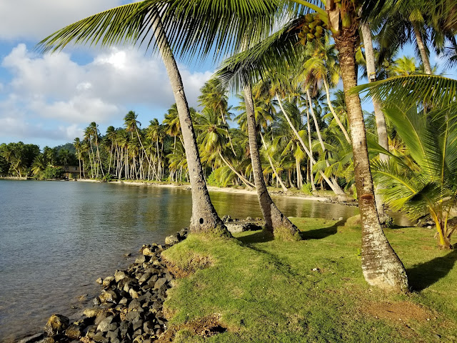 Truk Lagoon, Chuuk, Micronesia, FSM, Diving, Truck, Shipwreck