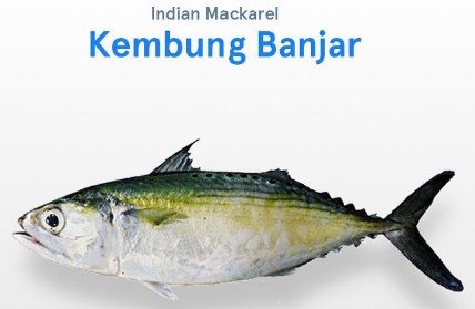 ikan kembung banyar