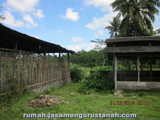 jual kandang ayam