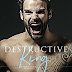 Review: Destructive King (Mafia Royals #3) by Rachel Van Dyken